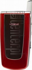 VOXTEL V-100