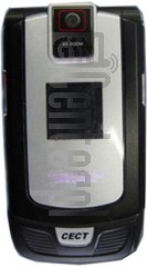 CECT V199