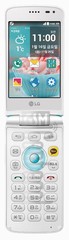 LG Ice Cream Smart